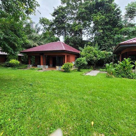 Big Foot Safari Lodge Wli Afegame Eksteriør billede